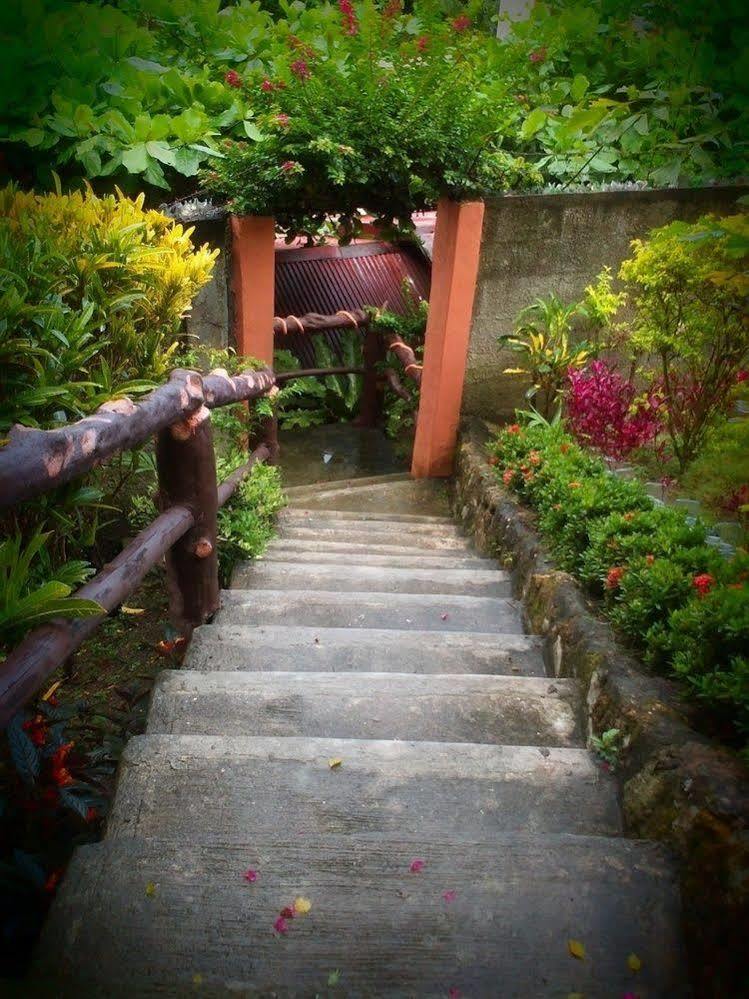 Hilltop Cottages ロボック エクステリア 写真